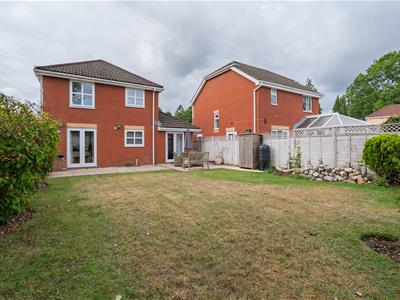 Picture 22